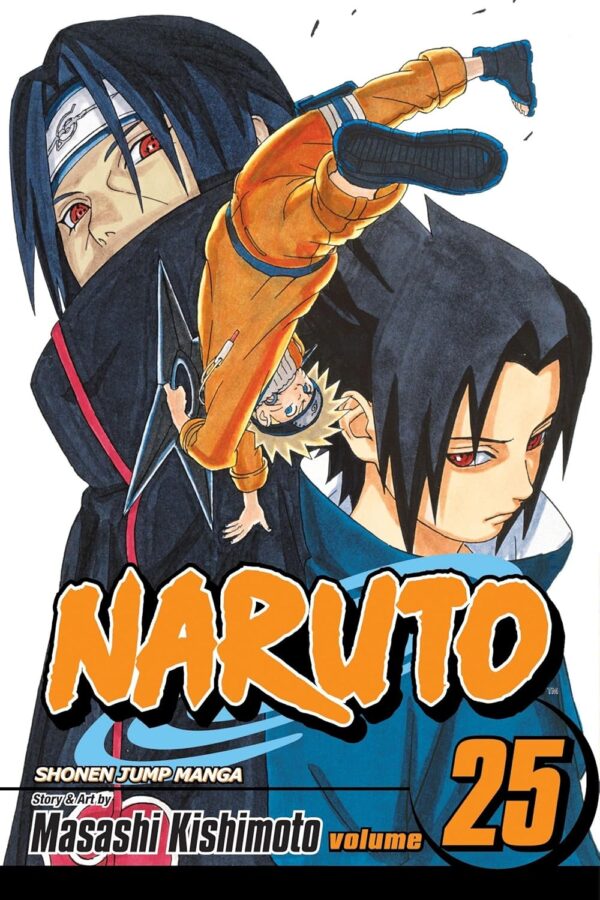 Naruto Vol. 25: Brothers