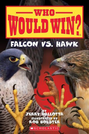Who Would Win? Falcon Vs. Hawk