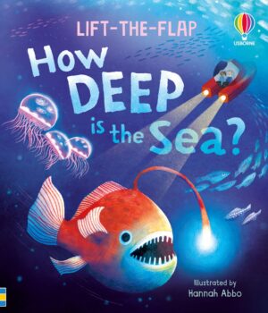 Lift-the-Flap: How Deep is the Sea?