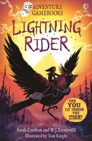 Usborne Adventure Gamebooks: Lightning Rider